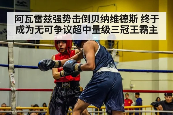 阿瓦雷兹强势击倒贝纳维德斯 终于成为无可争议超中量级三冠王霸主